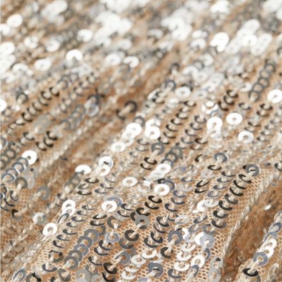 H&M Light Beige/ Silver Sequined Cut Out Back Midi Dress NWOT - Picture 5 of 13